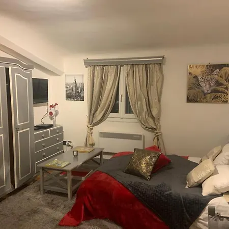 Apartment De Luxe Aix En Provence *